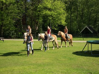 Casa per le vacanze Deurningen Ambiente 18