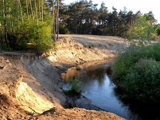 Naturgebiet Lutterzand