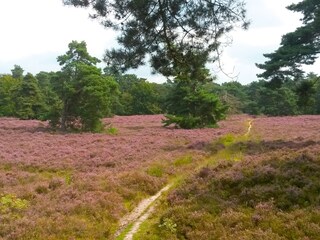 Vakantiehuis Deurningen Omgeving 30