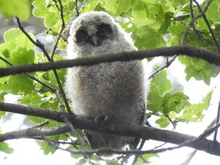 Casa per le vacanze Deurningen Ambiente 34