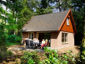 Ferienhaus Komfort, 2 Badezimmer - Deurningen - image1