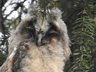 Casa per le vacanze Deurningen Ambiente 32