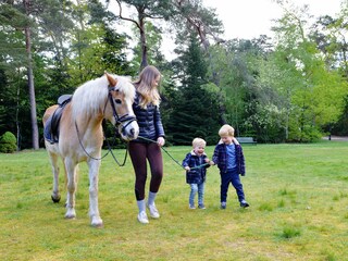 Gratis Ponyreiten Eureka