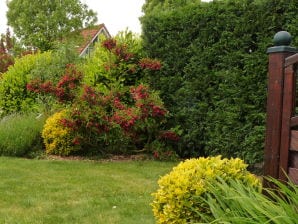 Casa vacanze Daddy´s Dream