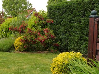 Holiday house Breskens Outdoor Recording 1