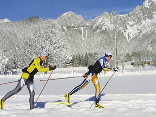 Appartamento per vacanze Ramsau am Dachstein  18