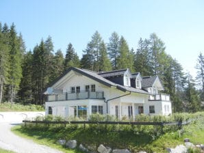 Ferienwohnung Haus Terra - Ramsau am Dachstein - image1