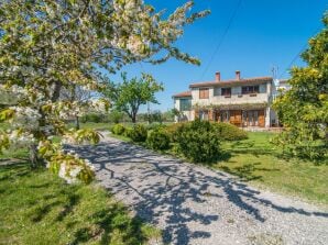 - Apartment with Terrace in Filipana