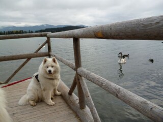 Am Lechsee unterhalb des Ferienparks