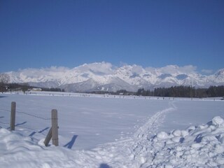 Blick   hinter dem Haus