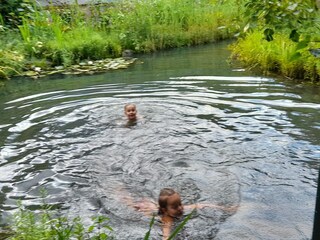 Schwimmteich 0,1.  bis 3 m tief  Juli 2025