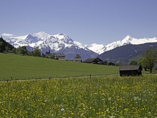 Scloss Kammer 4 km entfernt