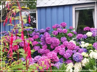 Casa per le vacanze Ostseebad Schönhagen Registrazione all'aperto 7