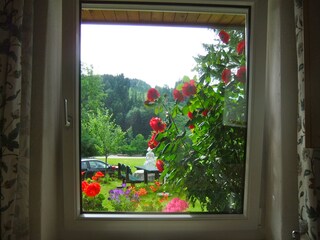 Blick durch das Küchenfenster
