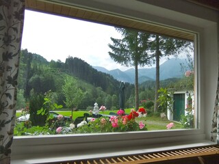Blick aus dem Panoramafenster