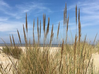 Vakantiehuis Ouddorp  31