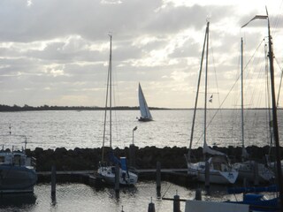 Vakantiehuis Ouddorp Omgeving 25