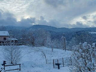 Chalet le thillot Buitenaudio-opname 3