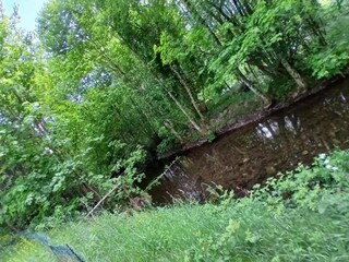 Chalet le thillot Umgebung 33