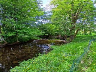 Chalet le thillot Environnement 27