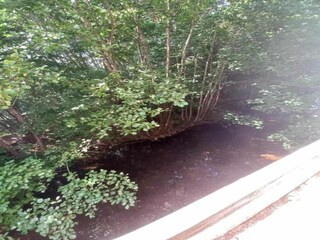 Chalet le thillot Environnement 28