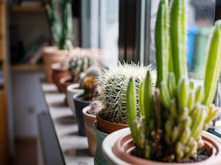 Ferienhaus Bestwig  36