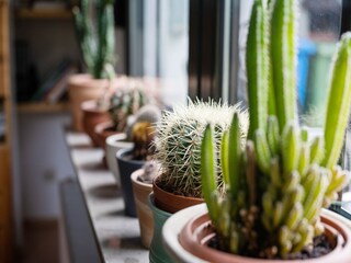 Vakantiehuis Bestwig  36