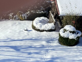 Vakantiehuis Bestwig  40