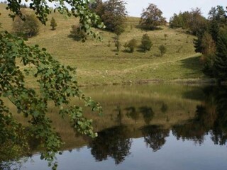 Chalet le thillot Environnement 36