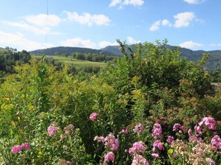 Chalet le thillot Ambiente 35