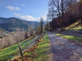 Chalet le thillot Ambiente 38