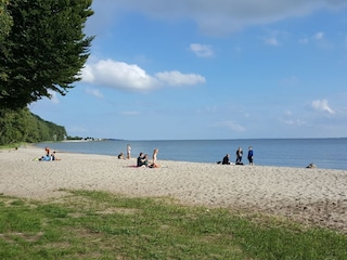 Haffstrand in Kamminke in 3 km Entfernung