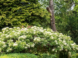 Ferienwohnung Altenbeken Außenaufnahme 21