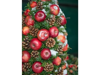 Ferienwohnung Altenbeken Außenaufnahme 11