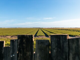 Casa per le vacanze Julianadorp Registrazione all'aperto 5