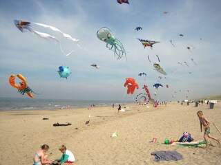 Casa per le vacanze Julianadorp Ambiente 30