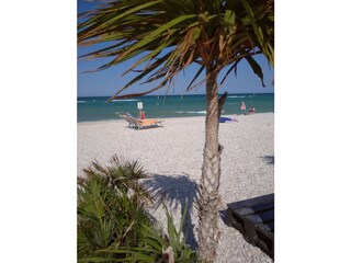 Casale Corinaldo Ambiente 28