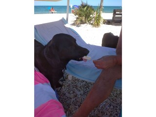 Casale Corinaldo Ambiente 30