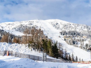 Ferienwohnung Appartamento vacanze Katschberg Tipo C