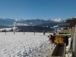 Chalet Tamsweg Buitenaudio-opname 10