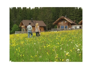 Chalet Tamsweg Umgebung 3