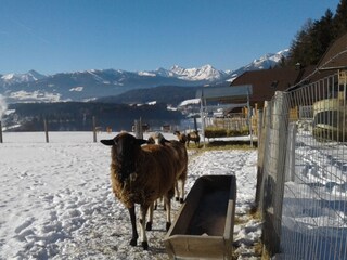 Chalet Tamsweg Registrazione all'aperto 5