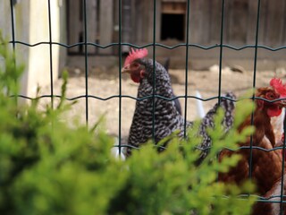 Appartamento per vacanze Rodeneck Registrazione all'aperto 5