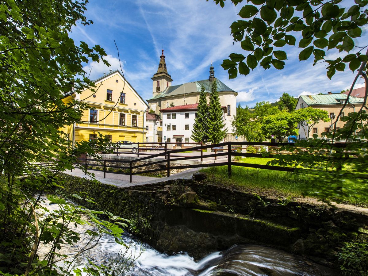 YELLOWSKI ist nur in der Mitte, aber in freier Wildbahn