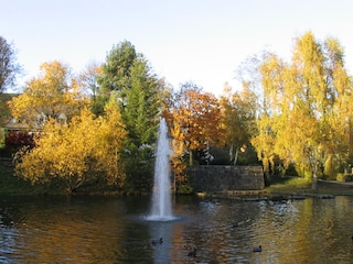 Eisweiher in Neustadt