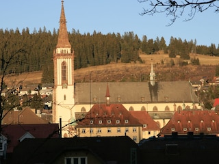 Jakobus Münster in Neustadt