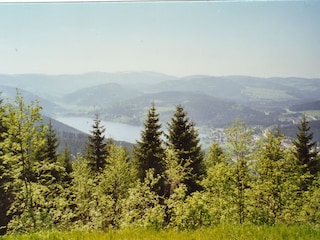 Blick vom Hochfirst