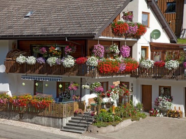 Holiday apartment Waltraud Heitz