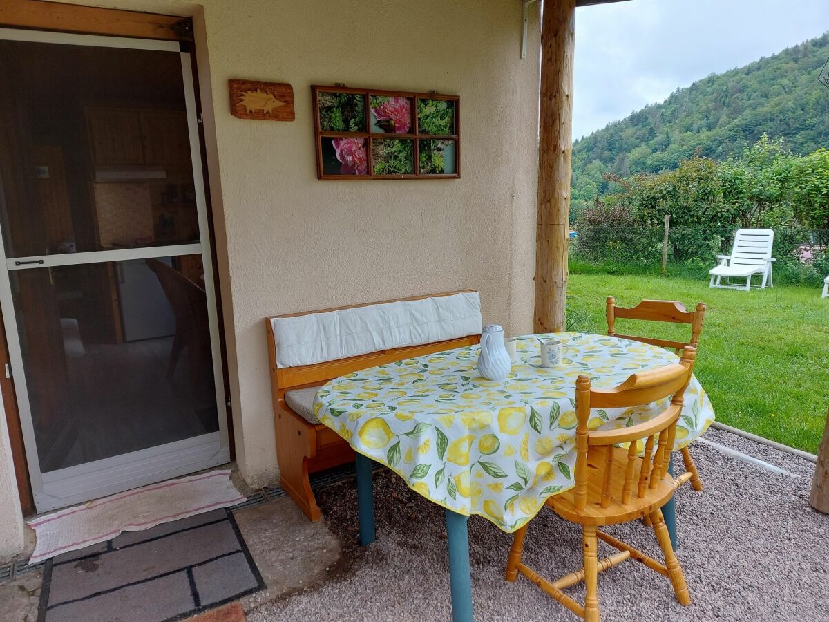 Chalet le thillot Buitenaudio-opname 1