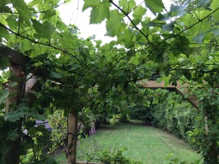 Holiday house Rémilly Outdoor Recording 14